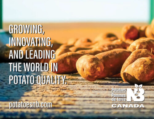 Image of Potatoes New Brunswick
